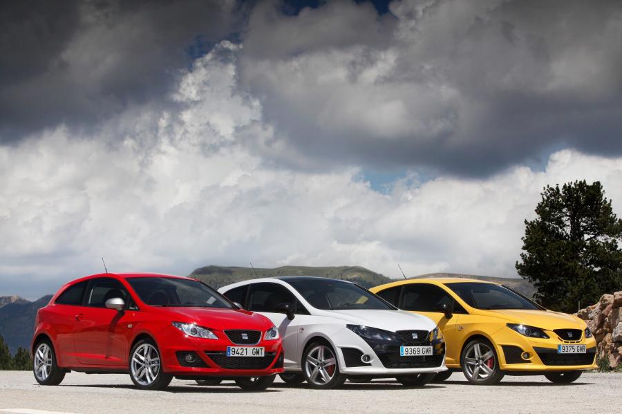  Seat Ibiza Cupra 2009 года  (фото 65 из 84)